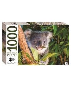 Mindbogglers 1000 Piece Jigsaw Puzzles Koala Queensland Australia (Min Order Qty 3)  