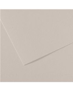 Canson Mi-Teintes Paper 160gsm A4 Sheets Pack of 25 - Colour 120 Pearl Grey (Min Order Qty 1) 