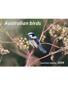 Australian Birds Compact Panoramic Wall Calendar 240mm x 340mm *Pre-Order Aug/Sept Delivery*