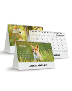 2026 easy2C Standard Desk Calendar Animal Kingdom *Pre-Order Aug/Sept Delivery*