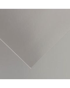 Canson Iris Vivaldi Foilboard 280gsm 50x65cm Sheets Pack of 25 - Colour Silver (Min Order Qty 1)