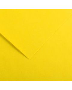 Canson Iris Vivaldi Cardboard 240gsm 50x65cm Sheets Pack of 25 - Colour 04 Canary Yellow (Min Order Qty 1)