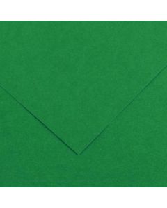 Canson Iris Vivaldi Cardboard 240gsm 50x65cm Sheets Pack of 25 - Colour 30 Moss Green (Min Order Qty 1) 