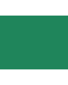 Quill Coloured Board 210gsm 510mm x 635mm Pack of 20 : Emerald Green