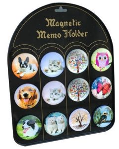 Assorted Magnet set of 12 with free display board (Min Order Qty 1)