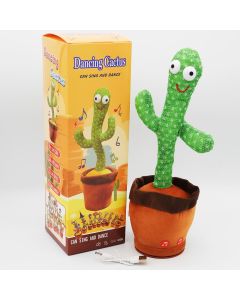 Dancing Cactus 32cm