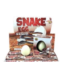 Growing Egg Snake Display of 12 (Min Order Qty 1)