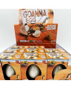 Goanna Growing Egg CDU of 12
