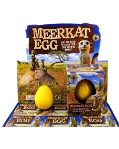 Growing Egg Meerkat Display of 12 (Min order Qty 1)