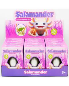 Axolotl/Salamander Excavation Egg 8cm CDU of 12