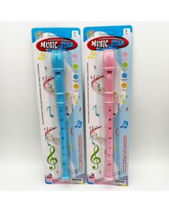 Music Star Recorder 30cm Assorted